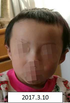 肥逼视频播放